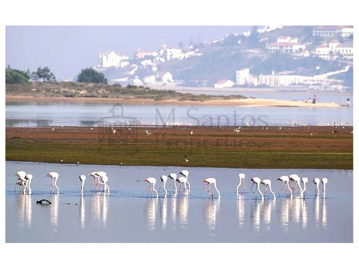 Image No.4-Plot for sale