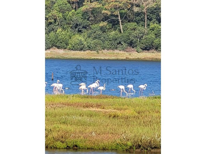 Image No.5-Plot for sale