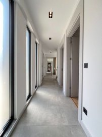 Interior 8