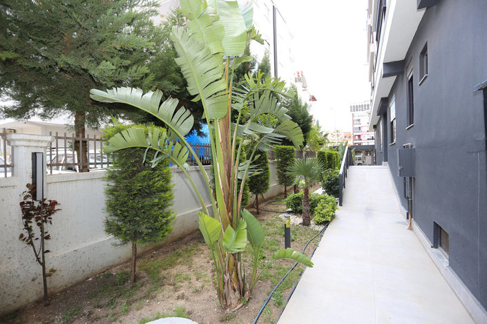 Image No.4-3 Bed Apartment for sale