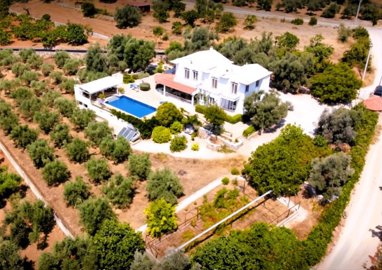 Exterior 4