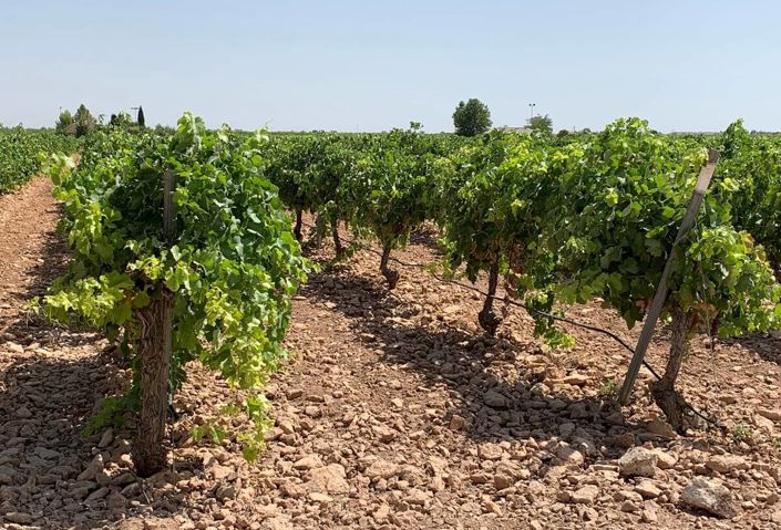 Image No.14-5 Bed House/Villa for sale