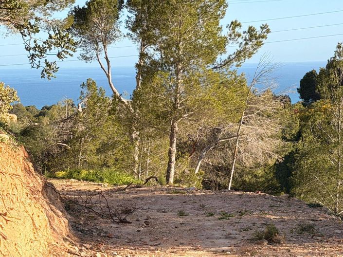Image No.3-Land for sale