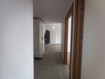 Interior 6