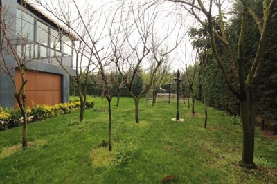 Exterior 13