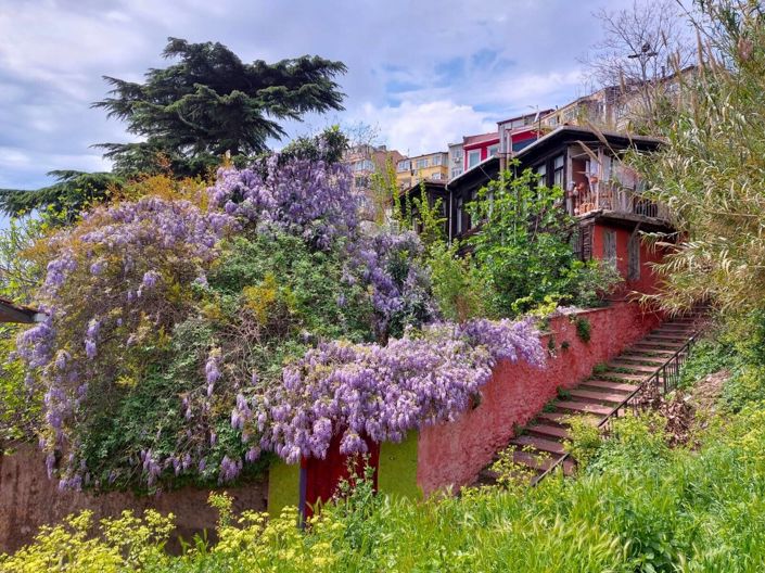 Image No.11-Maison / Villa de 12 chambres à vendre à Fatih