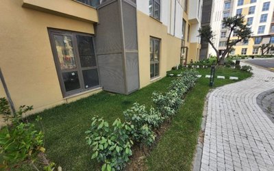 Exterior 5