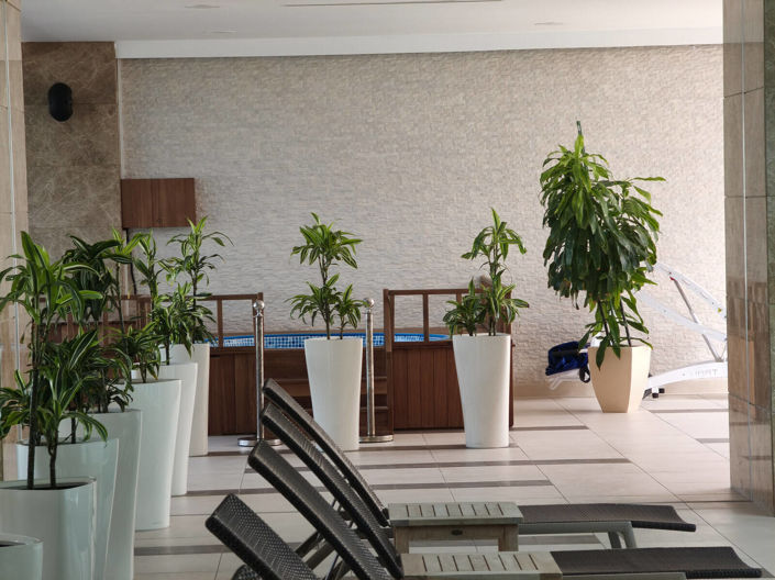 Image No.2-1 Bed Apartment for sale