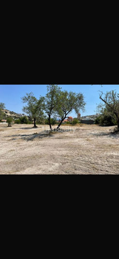 Image No.2-Land for sale