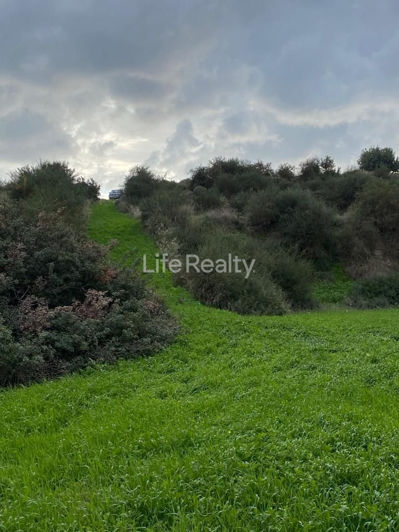 Image No.10-Terre à vendre à Pissouri