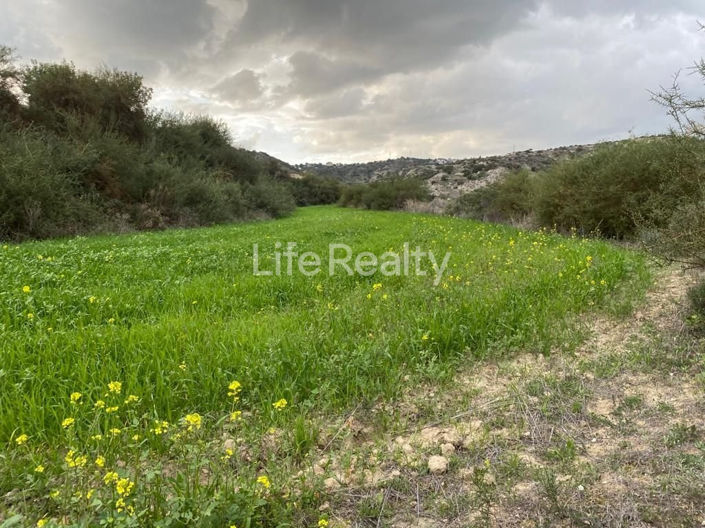 Image No.12-Terre à vendre à Pissouri