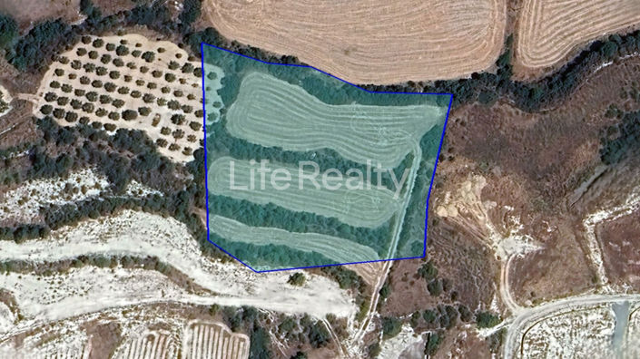 Image No.13-Terre à vendre à Pissouri