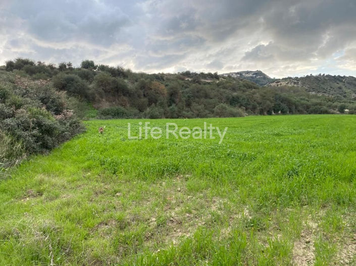 Image No.3-Terre à vendre à Pissouri