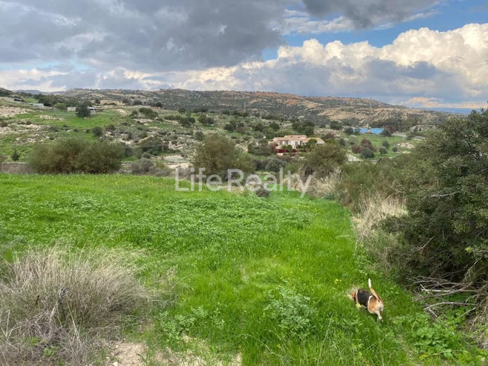 Image No.4-Terre à vendre à Pissouri