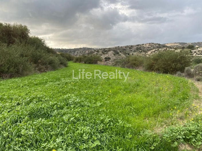 Image No.5-Terre à vendre à Pissouri