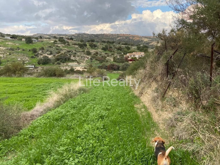 Image No.6-Terre à vendre à Pissouri