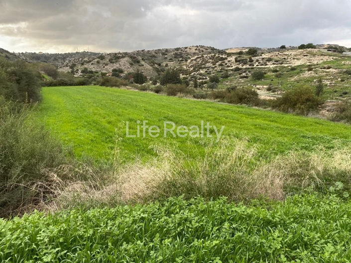 Image No.7-Terre à vendre à Pissouri
