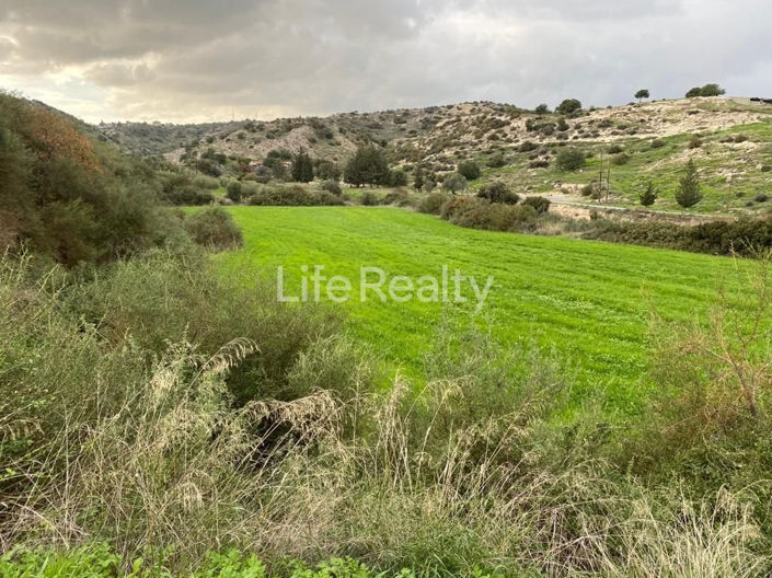 Image No.8-Terre à vendre à Pissouri