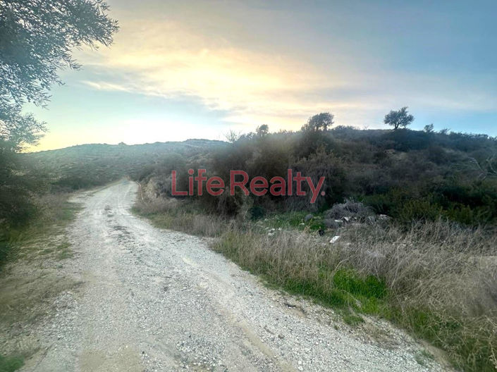 Image No.1-Land for sale