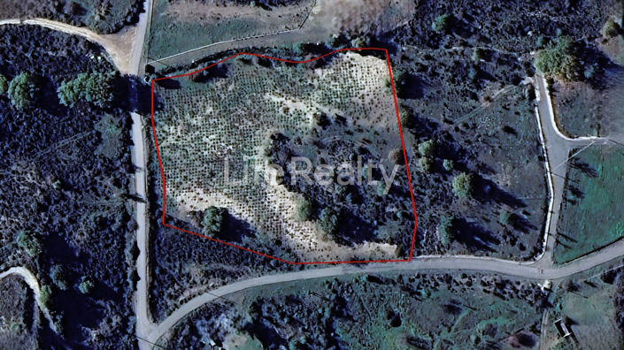 Image No.1-Land for sale