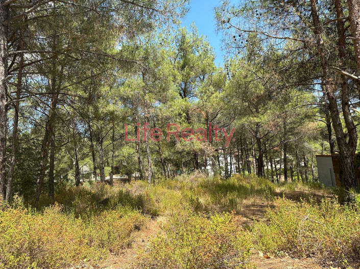 Image No.1-Plot for sale