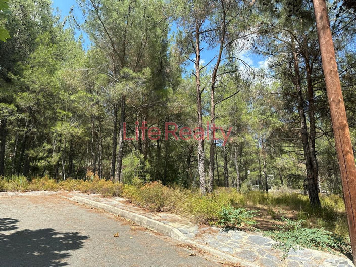 Image No.2-Terrain à vendre à Moniatis