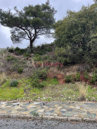 Image No.4-Terrain à vendre à Moniatis