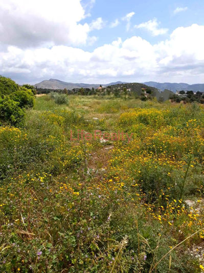 Image No.4-Land for sale