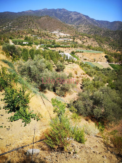 Image No.2-Terre à vendre à Arakapas