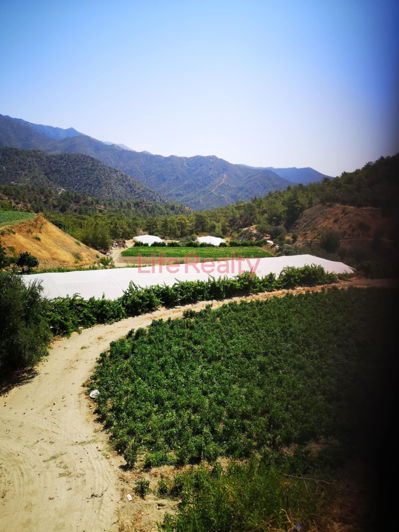 Image No.3-Terre à vendre à Arakapas