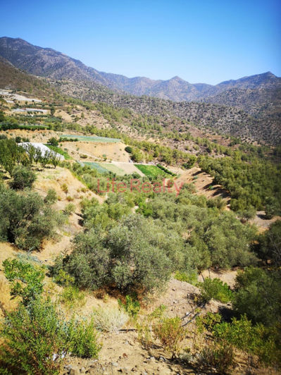 Image No.4-Terre à vendre à Arakapas