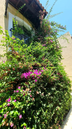 Image No.21-Appartement de 2 chambres à vendre à Germasogeia