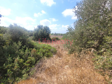 hd1080