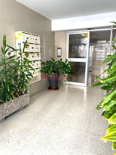 Image No.27-Commercial à vendre à Agia Zoni