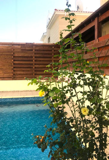 Image No.16-3 Bed House for sale