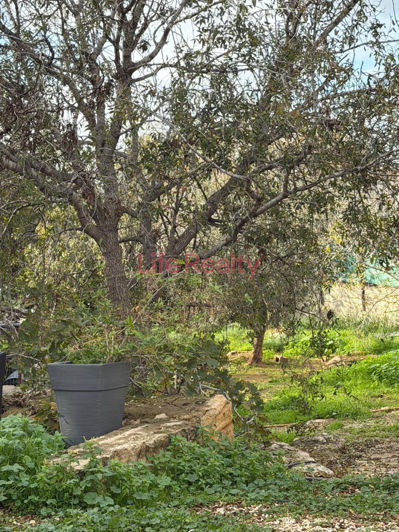 Image No.15-Maison de 3 chambres à vendre à Empa