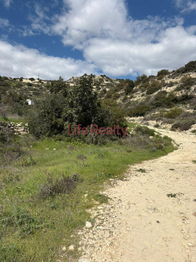 Image No.2-Terre à vendre à Palodeia