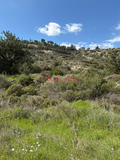 Image No.5-Terre à vendre à Palodeia