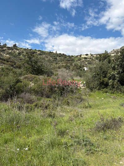 Image No.6-Terre à vendre à Palodeia