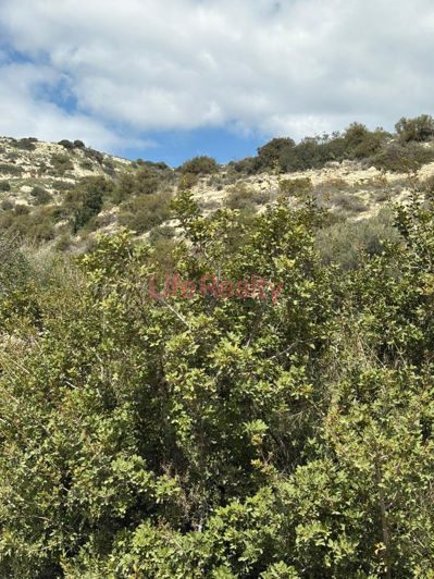 Image No.7-Terre à vendre à Palodeia