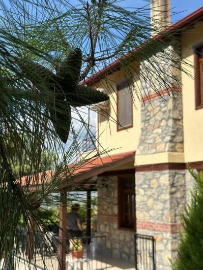 Image No.21-3 Bed Villa for sale