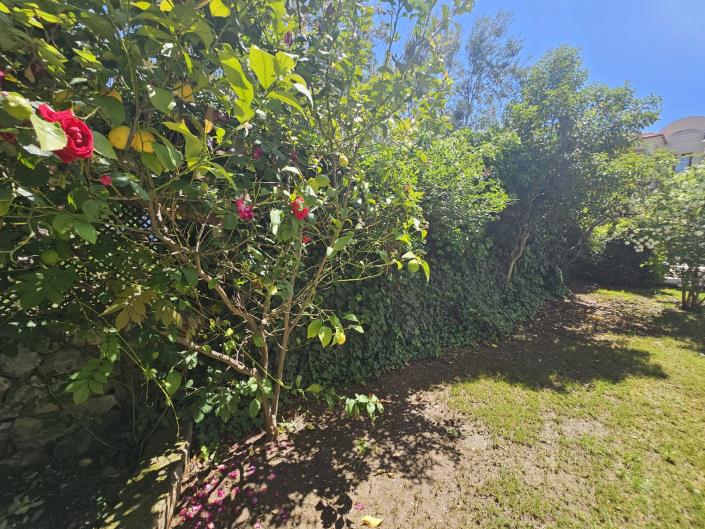 Image No.47-3 Bed Villa / Detached for sale