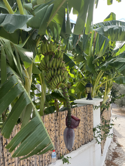 Image No.19-Villa / Détaché de 4 chambres à vendre à Kemer