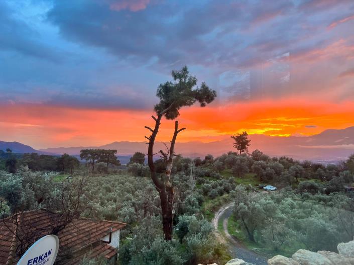 Image No.26-3 Bed Bungalow for sale