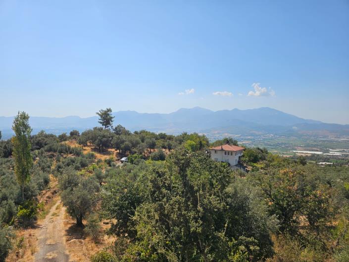 Image No.23-3 Bed Bungalow for sale