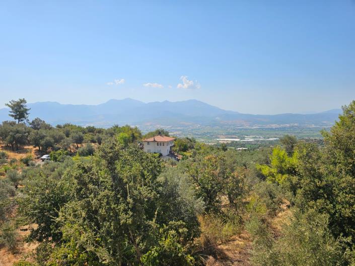 Image No.22-3 Bed Bungalow for sale