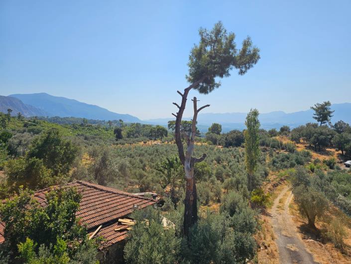 Image No.24-3 Bed Bungalow for sale