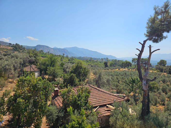 Image No.25-3 Bed Bungalow for sale