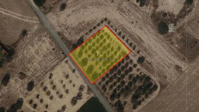 1 - Mazotos, Land