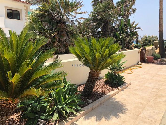 Image No.33-4 Bed House for sale